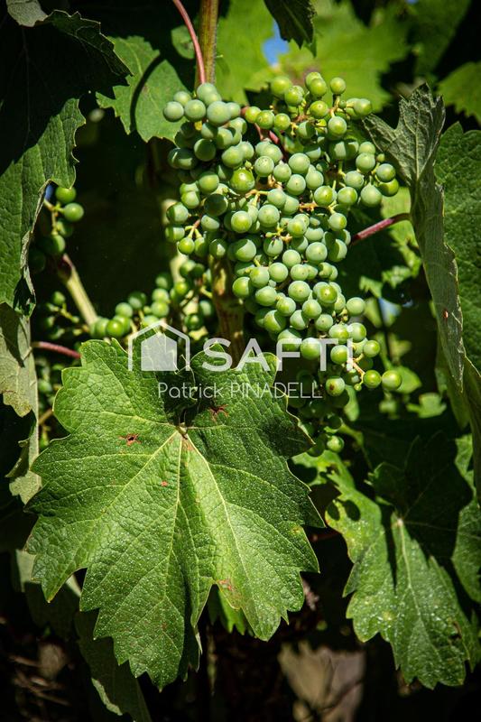 Local commercial - 82 497 m²