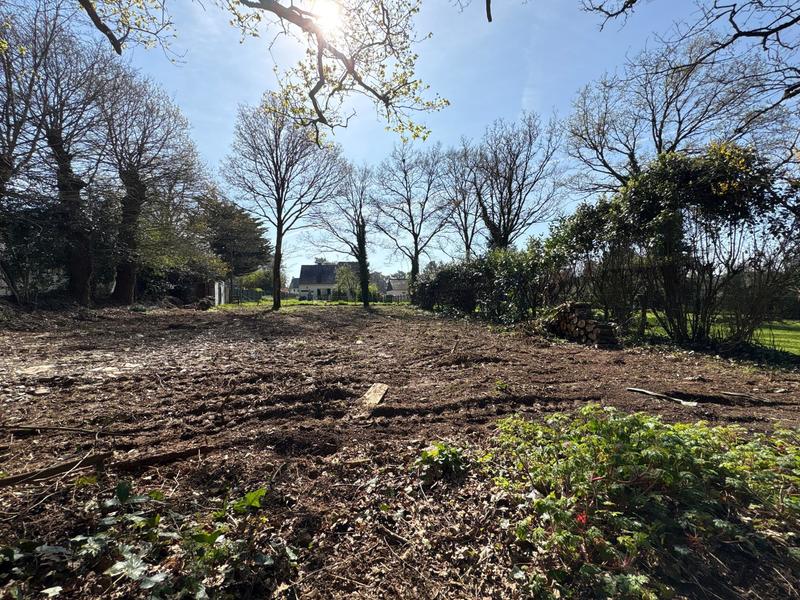Terrain - 1 233 m²