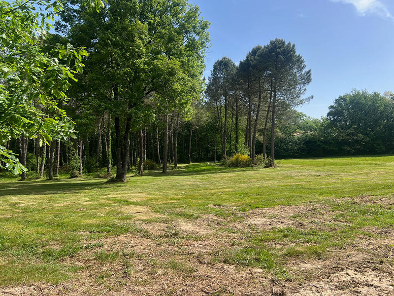 Maison - 185 m² - 3 pièces