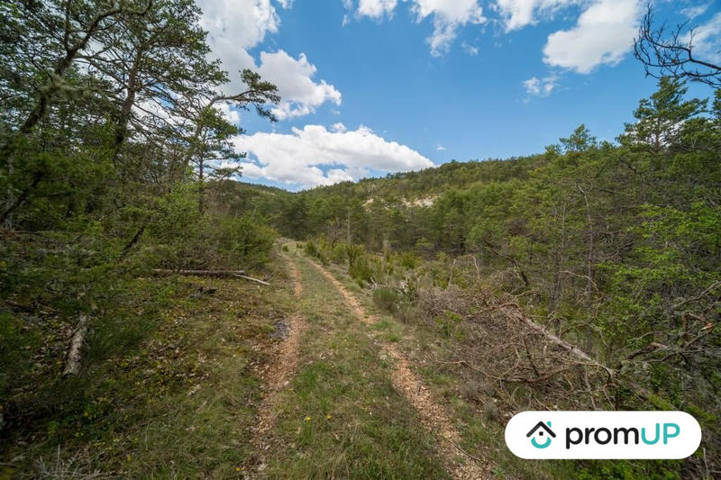 Terrain de loisirs - 92 370 m²