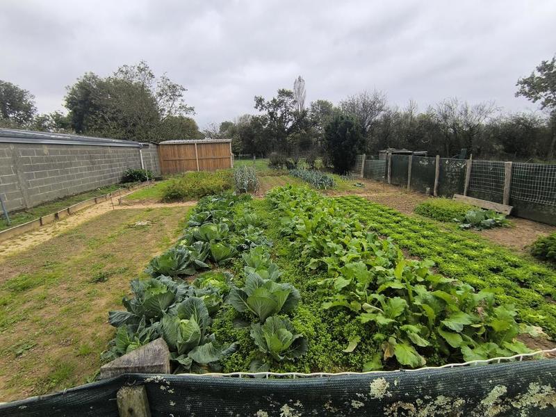 Maison - 151 m² - 6 pièces