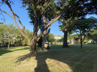 Appartement - 27 m² - 2 pièces