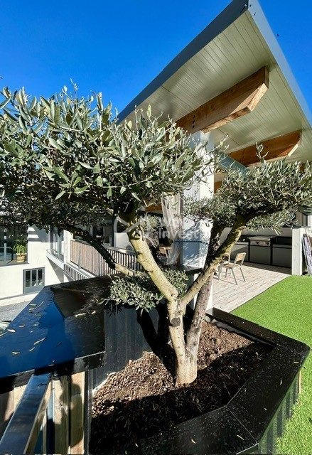 Maison - 293 m² - 6 pièces