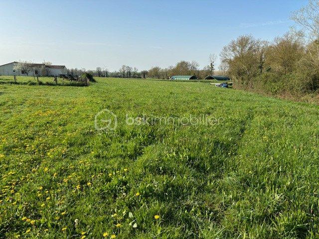 Terrain constructible - 4 500 m²