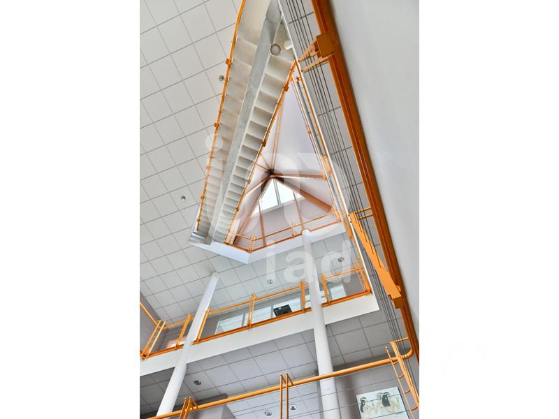 Immeuble - 1 239 m²