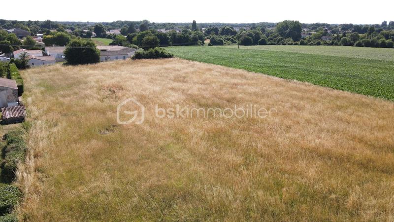 Terrain - 1 443 m²