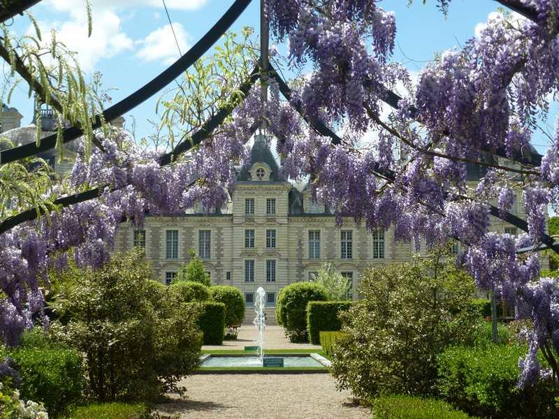 Fête des plantes au château de Cheverny
