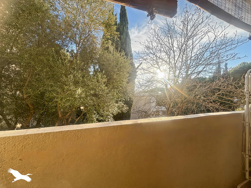 Appartement - 34 m² - 1 pièce