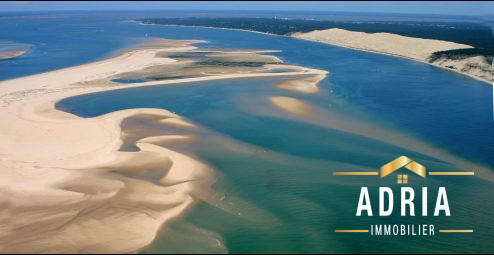 Appartement - 50 m² - 2 pièces