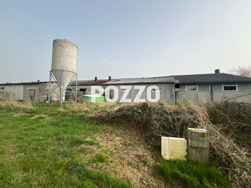 Maison - 600 m² - 5 pièces