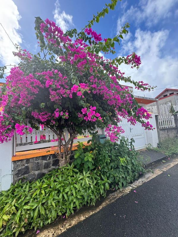 Maison - 70 m² - 4 pièces