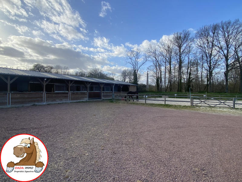 Maison - 547 m² - 12 pièces