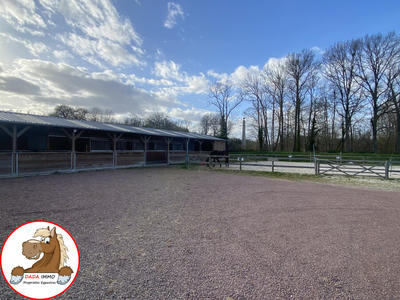 Maison - 547 m² - 12 pièces