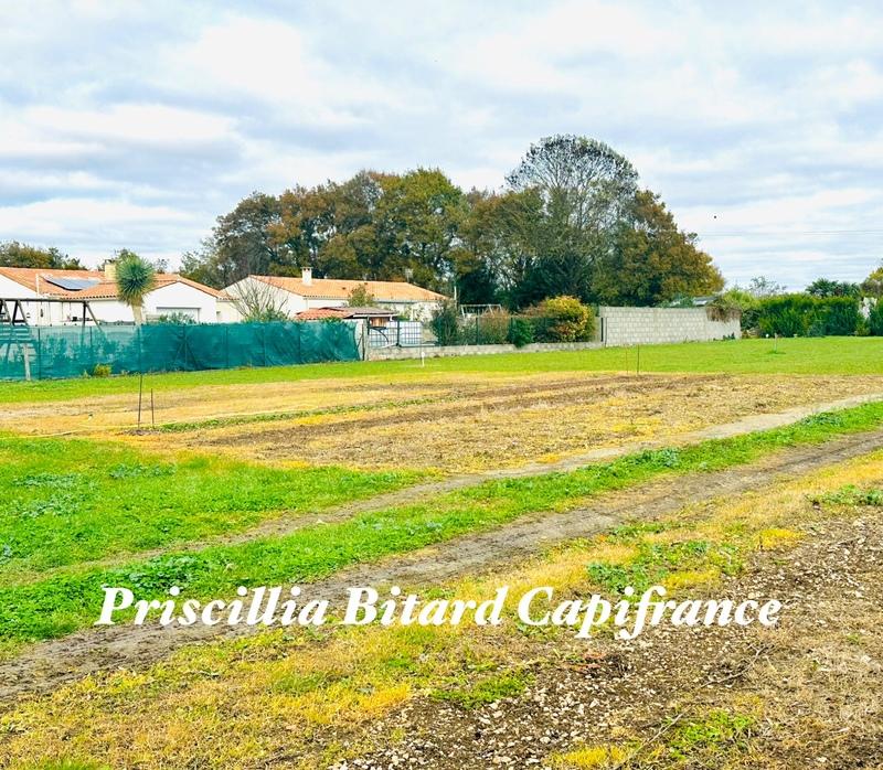 Terrain constructible - 1 220 m²