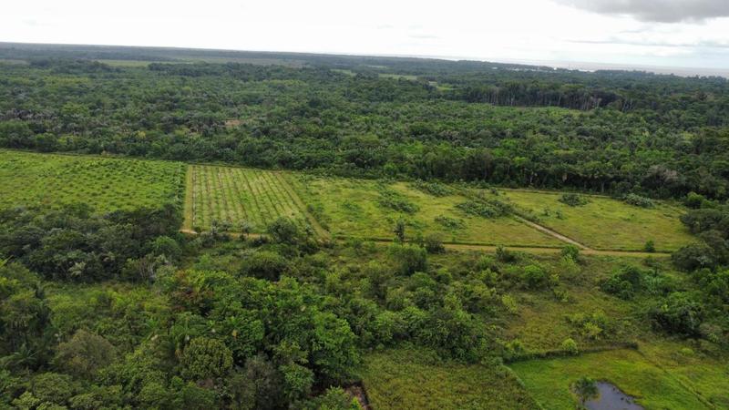 Maison de campagne - 114 m² - 5 pièces