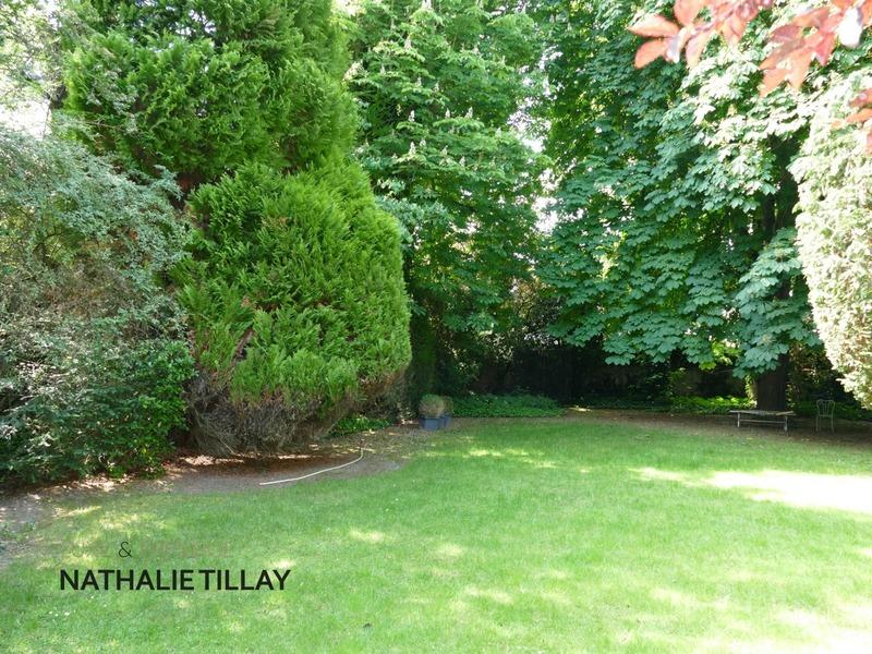 Hôtel particulier - 465 m² - 12 pièces