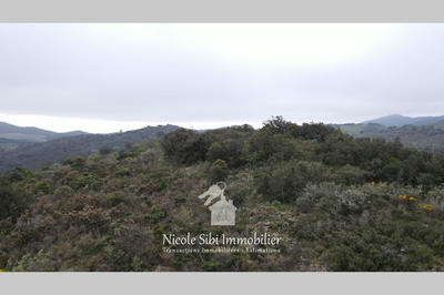 Terrain - 25 575 m²