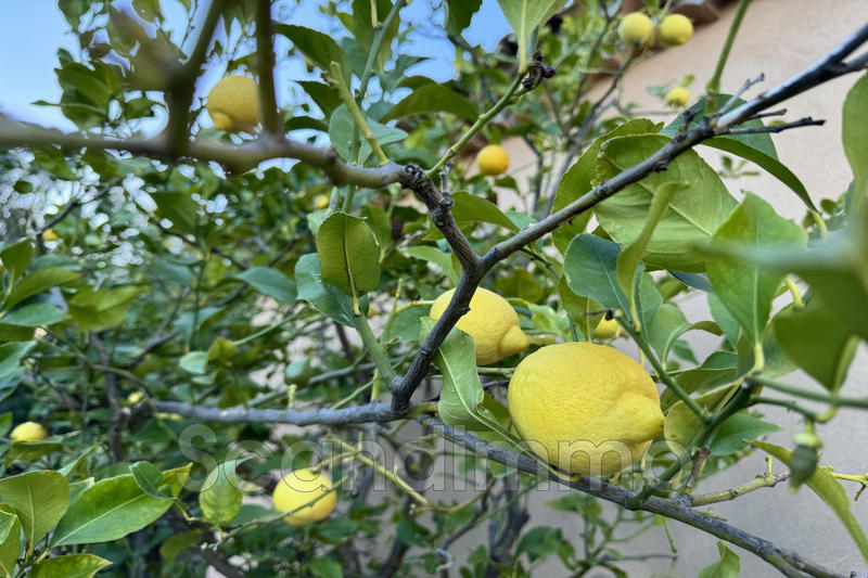 Maison - 180 m² - 5 pièces