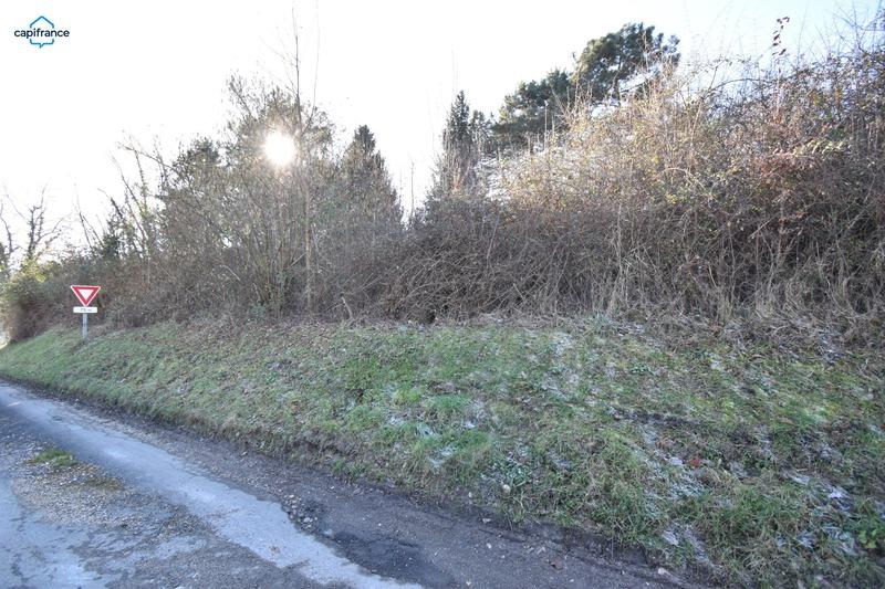 Terrain constructible - 3 000 m²
