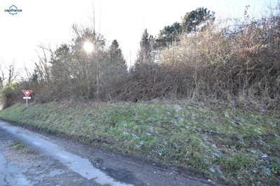 Terrain constructible - 3 000 m²