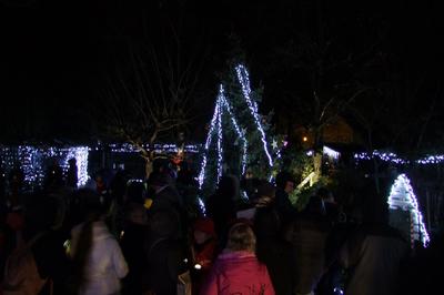 Balade des lumières