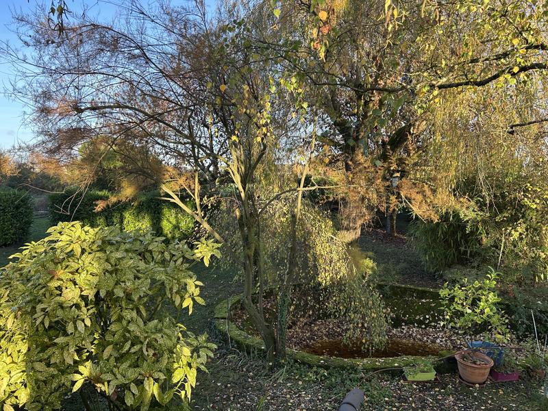 Maison traditionnelle - 170 m² - 8 pièces