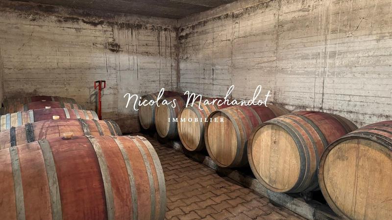 Local commercial - 130 900 m²