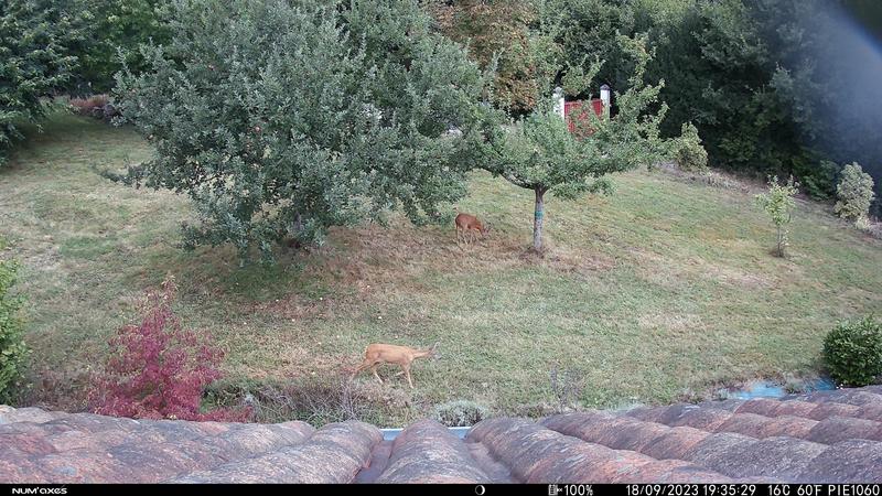 Melissa Miel, visite gratuite chez un apiculteur