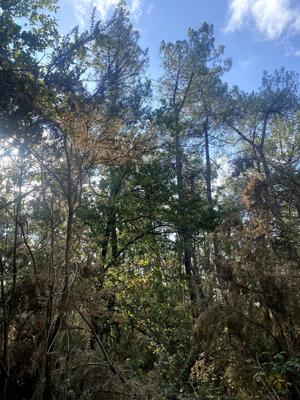 Terrain agricole - 2 890 m²