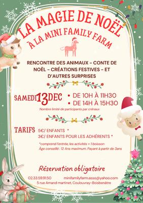 La Magie de Noël à la Mini Family Farm