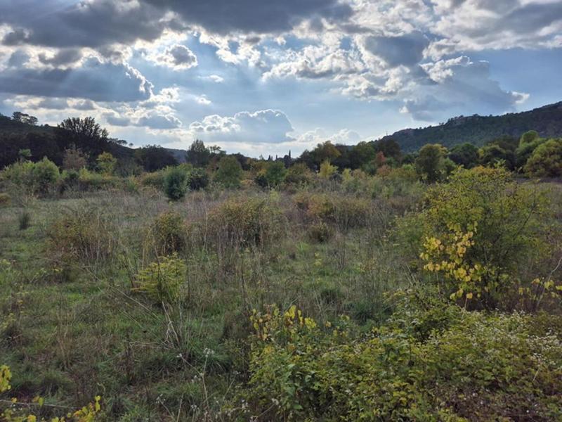 Terrain - 10 300 m²