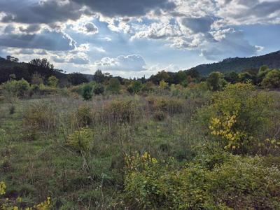 Terrain - 10 300 m²