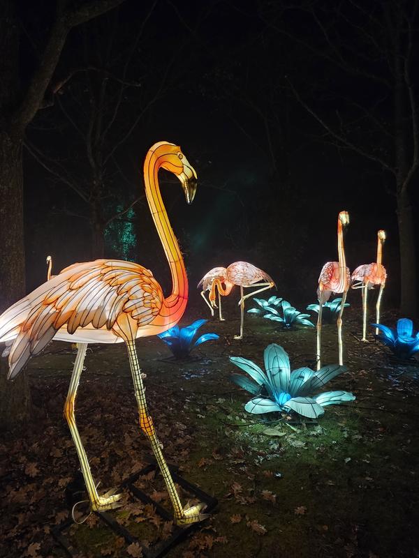 L'Odyssée Lumineuse