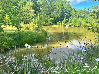 Maison - 467 m² - 16 pièces