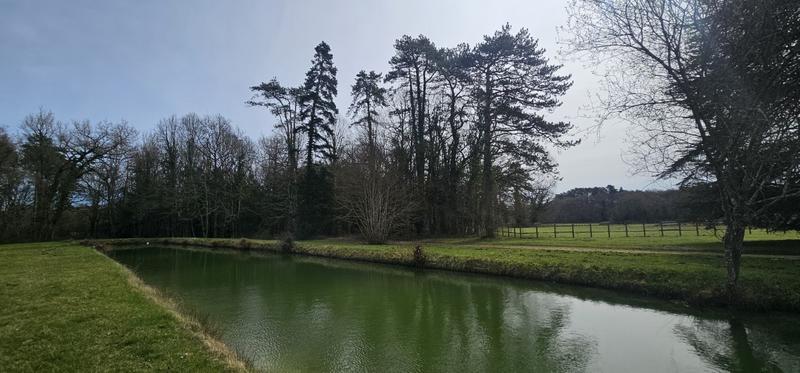 Manoir - 600 m² - 12 pièces