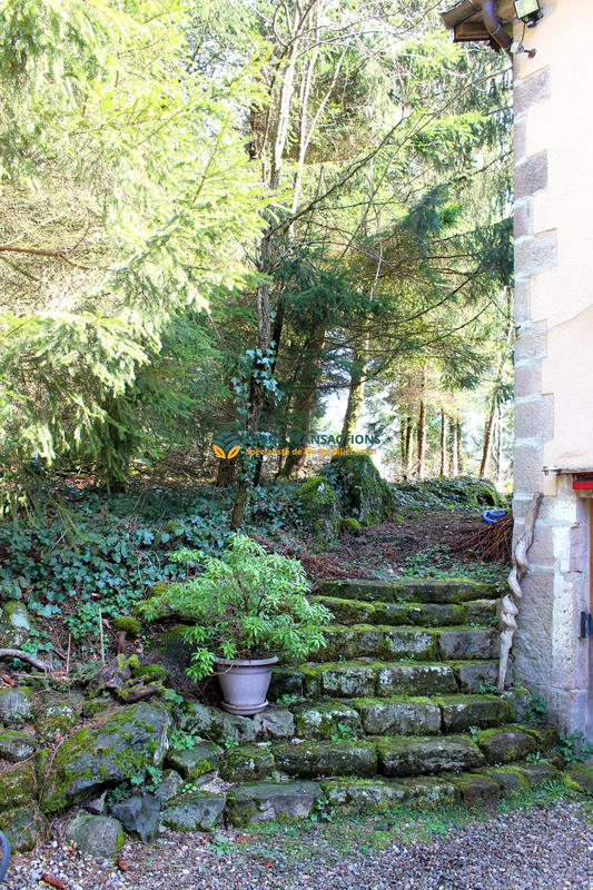 Ferme - 314 m² - 11 pièces