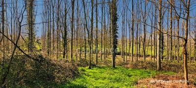 Terrain de loisirs - 18 756 m²