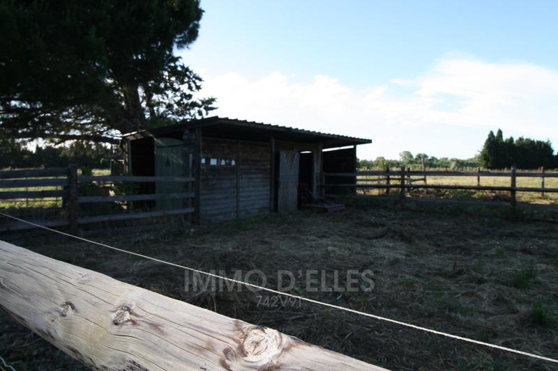 Terrain - 14 515 m²