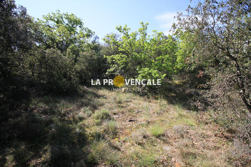 Terrain - 30 900 m²