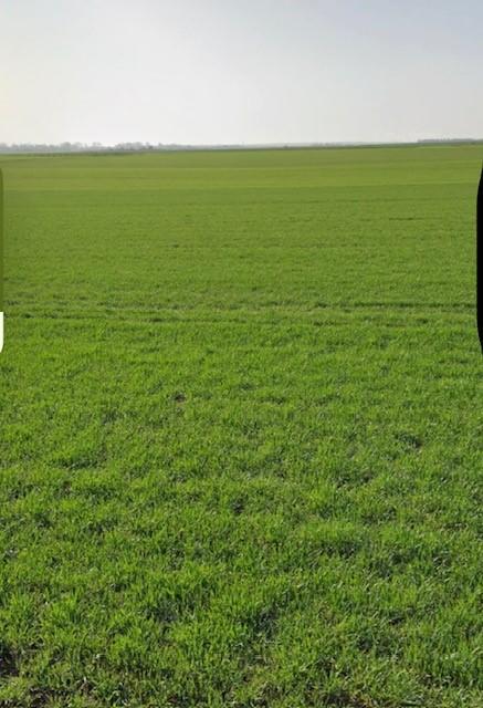 Terrain constructible - 312 m²