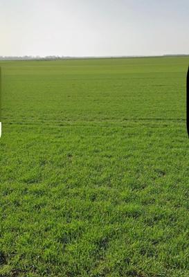 Terrain constructible - 312 m²