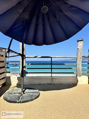 Appartement - 24 m² - 1 pièce