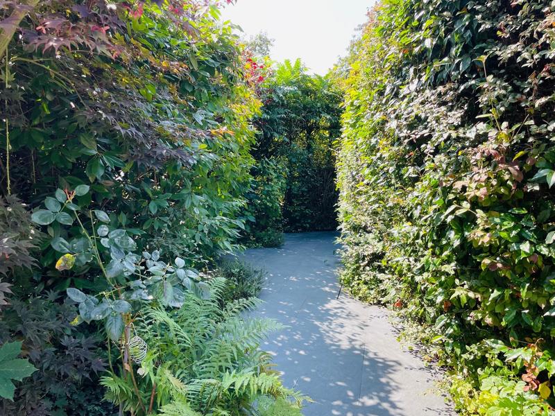 Maison - 210 m² - 7 pièces