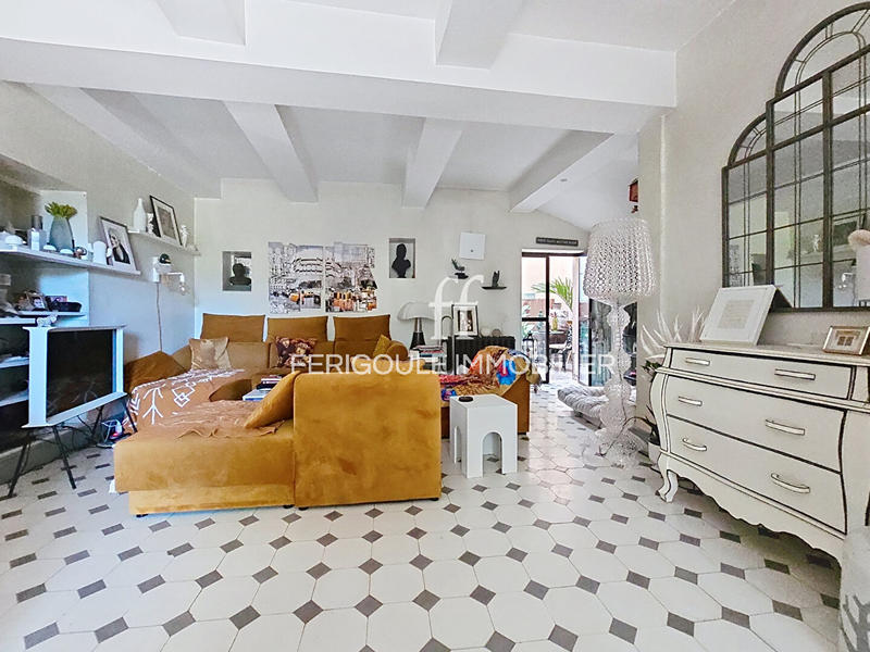 Mas - 353 m² - 10 pièces