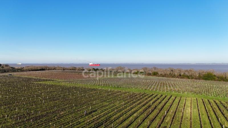 Propriété - 1 357 m² - 12 pièces