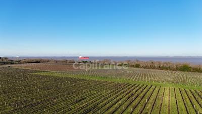 Propriété - 1 357 m² - 12 pièces