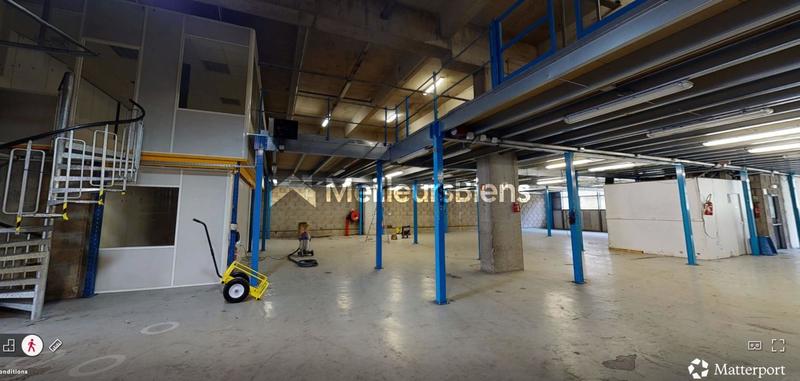 Local d'activité / Entrepôt - 956 m²