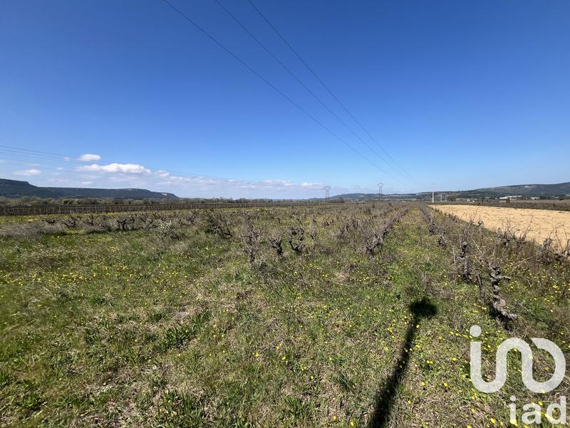 Terrain agricole - 3 345 m²