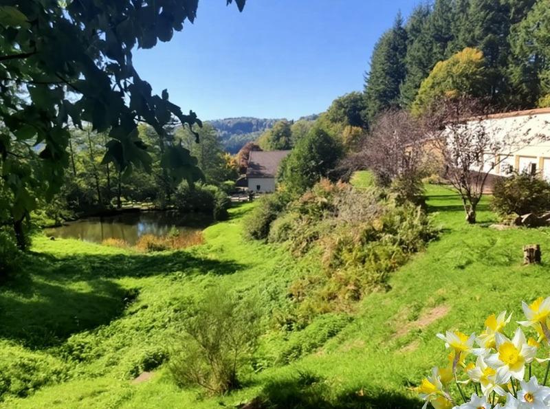 Propriété - 450 m² - 20 pièces