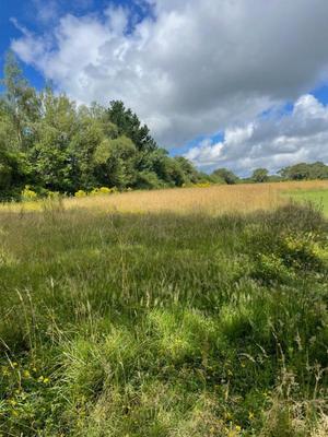 Terrain constructible - 4 714 m²